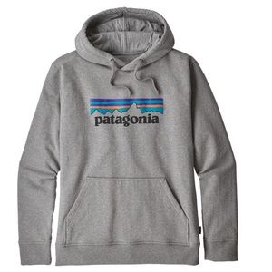 SOLD 🧱Patagonia 🧱 NWT men’s uprise gray hoodie